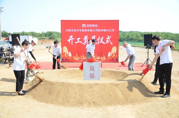 小米钱包官网 - 安全便捷的数字支付解决规划