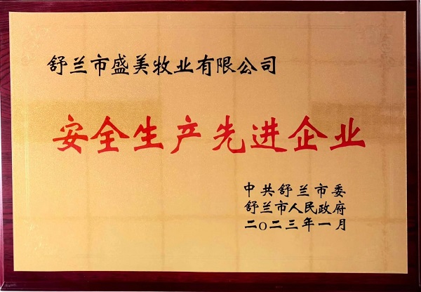小米钱包官网 - 安全便捷的数字支付解决规划