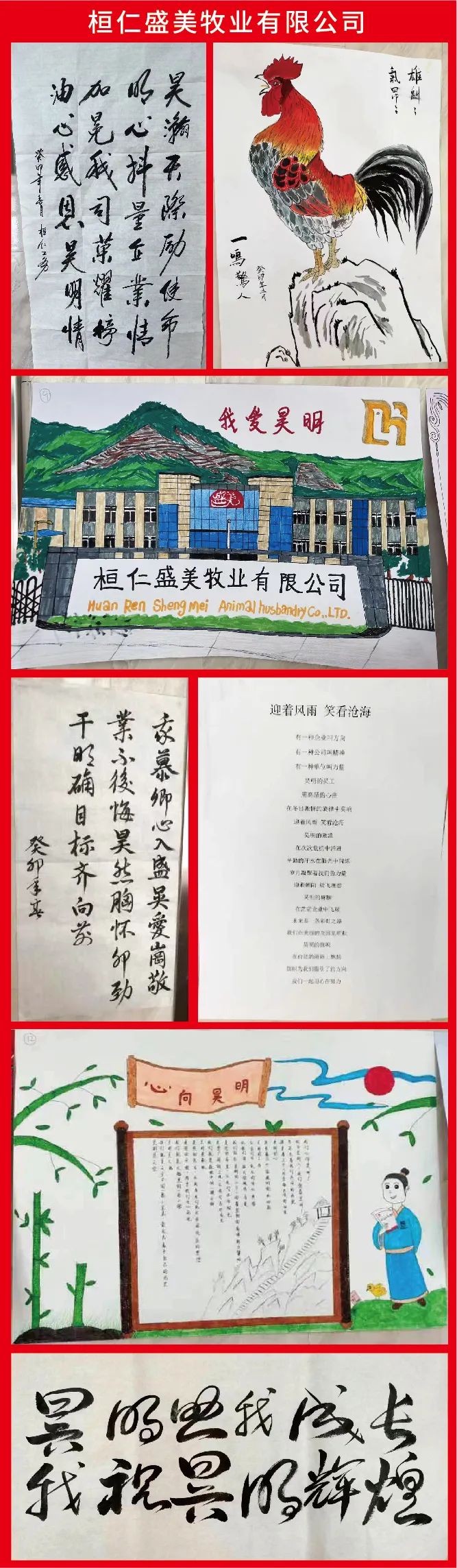 小米钱包官网 - 安全便捷的数字支付解决规划