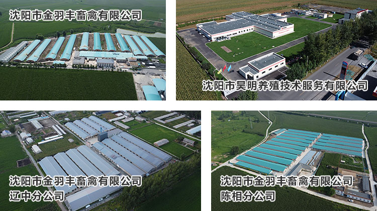 种禽豢养孵化01.jpg